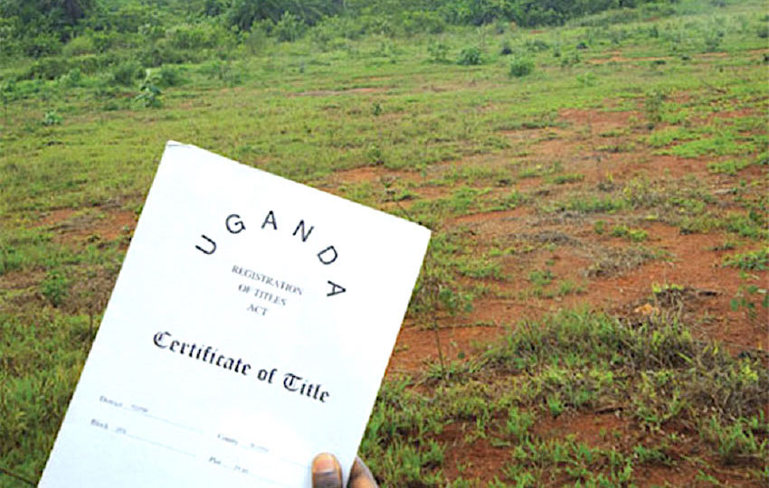 Land at Reliance Real Estates